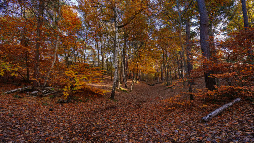 1118193 (a): :2048x1152